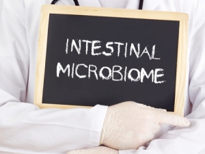 Intestinal microbiome stock photo
